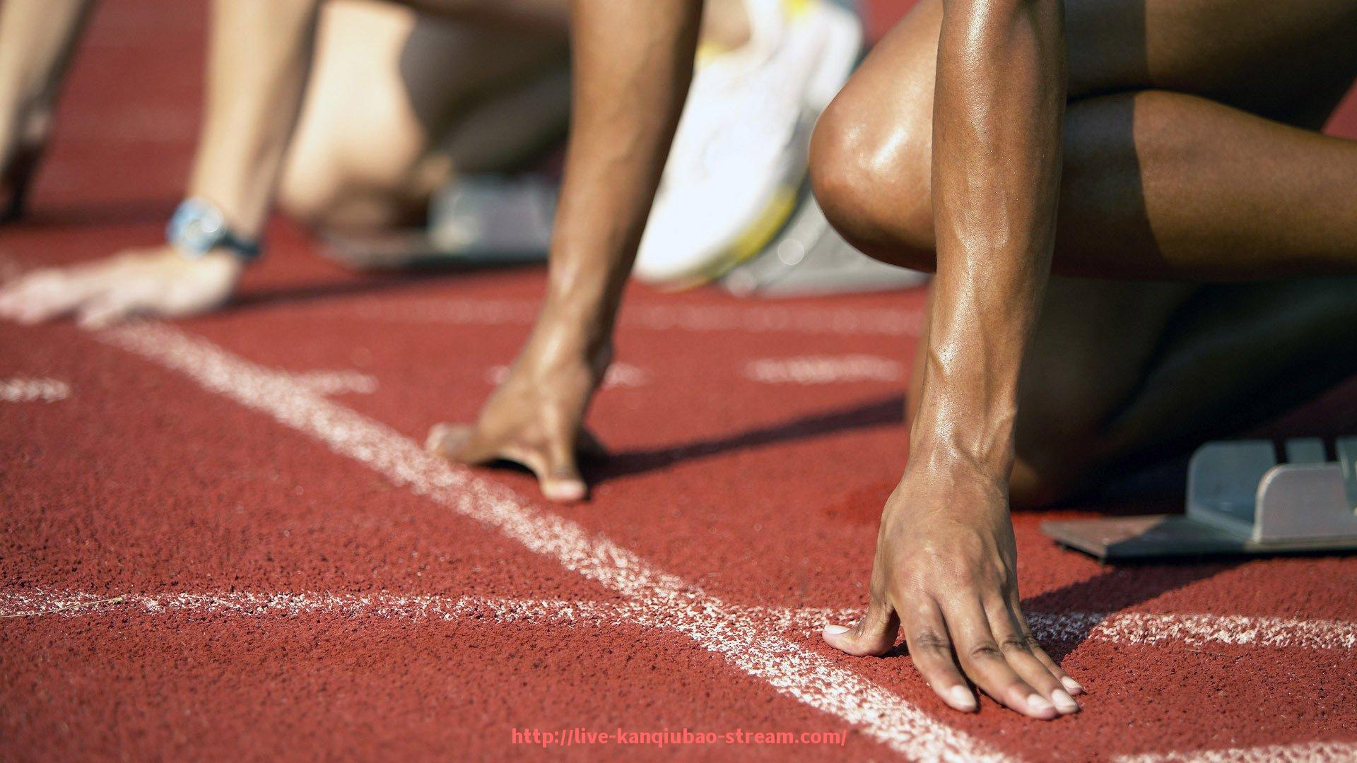 看球宝-塔图姆在2024年NBA赛季中的场均数据展现超级巨星潜质